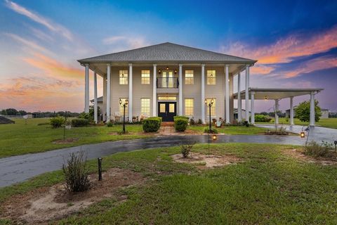 Tiny photo for 12345 NE 14th Avenue, Anthony, FL 32617 (MLS # G5099234)