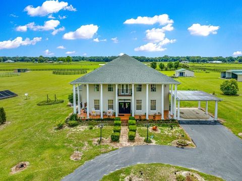 12345 NE 14TH AVENUE ANTHONY FL 32617