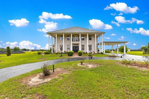 Tiny photo for 12345 NE 14th Avenue, Anthony, FL 32617 (MLS # G5099234)