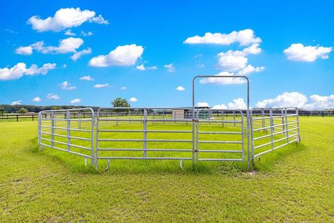 Tiny photo for 12345 NE 14th Avenue, Anthony, FL 32617 (MLS # G5099234)