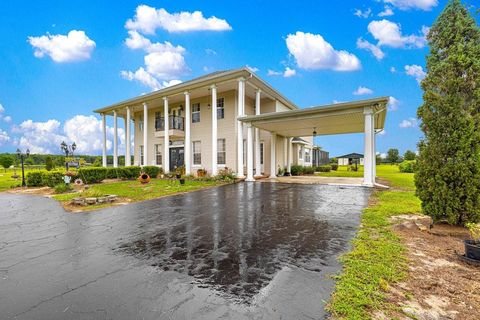 Tiny photo for 12345 NE 14th Avenue, Anthony, FL 32617 (MLS # G5099234)