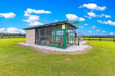 Tiny photo for 12345 NE 14th Avenue, Anthony, FL 32617 (MLS # G5099234)