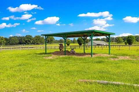 Tiny photo for 12345 NE 14th Avenue, Anthony, FL 32617 (MLS # G5099234)
