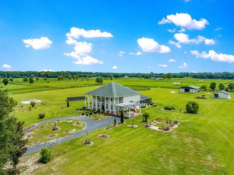 Tiny photo for 12345 NE 14th Avenue, Anthony, FL 32617 (MLS # G5099234)