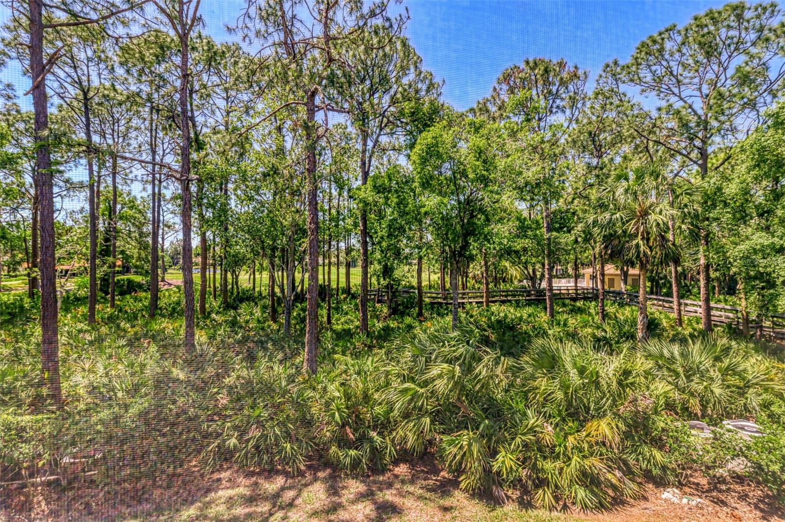 WOODLAND GROVE - Residential