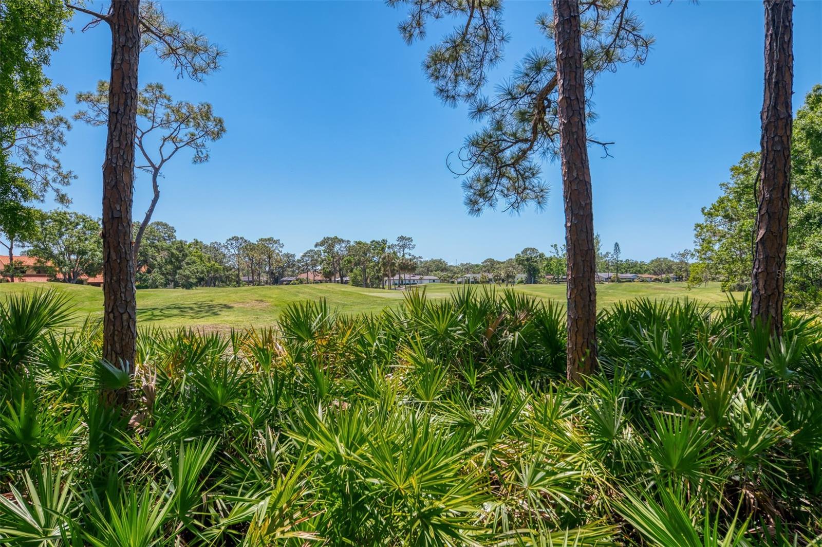 WOODLAND GROVE - Residential