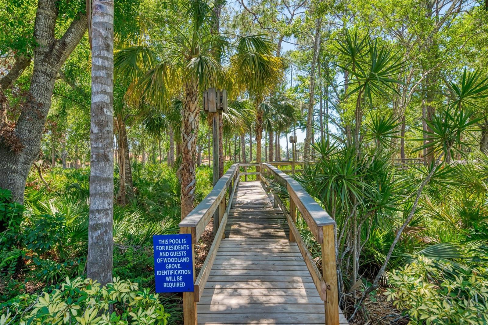 WOODLAND GROVE - Residential