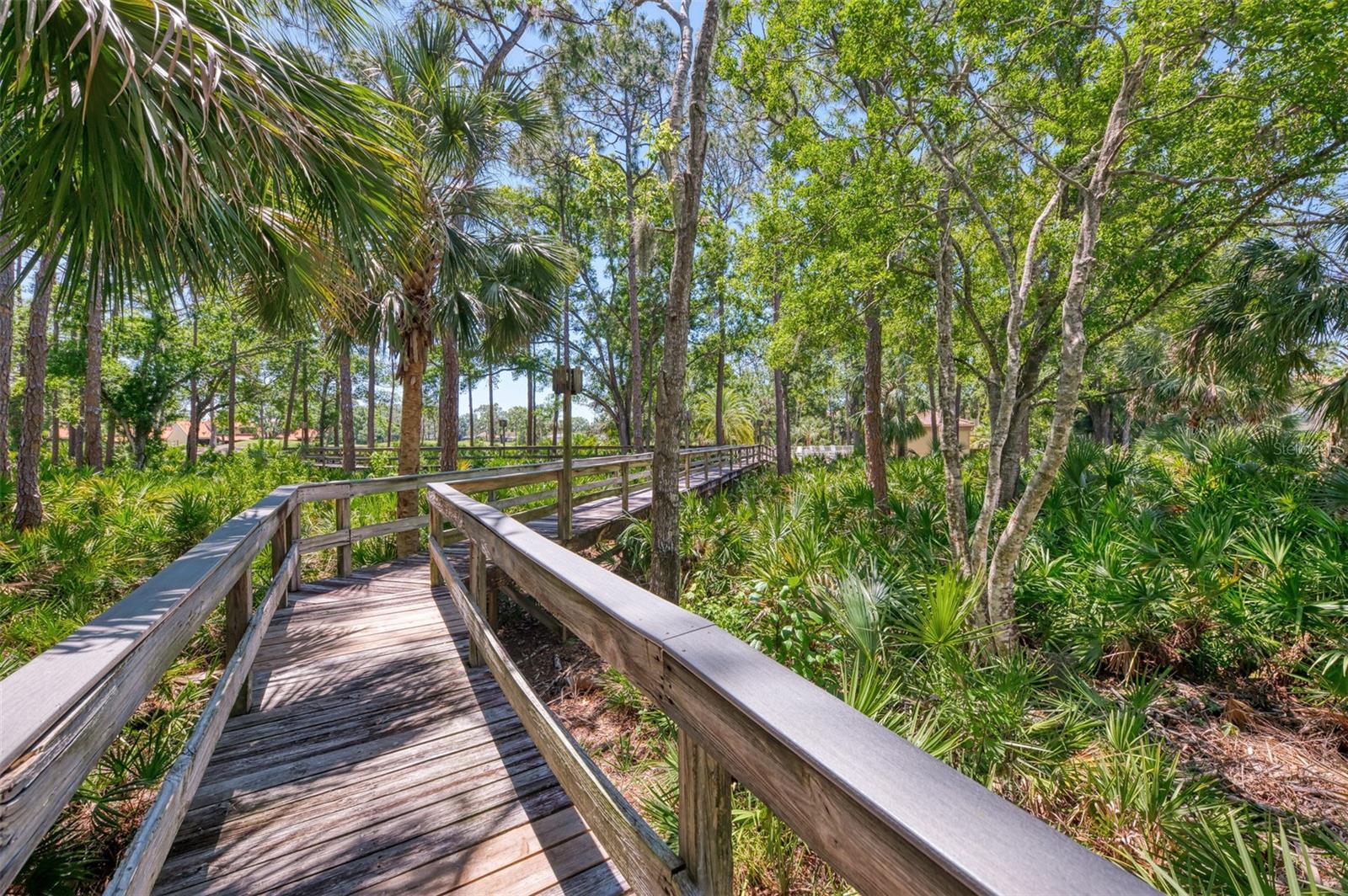 WOODLAND GROVE - Residential