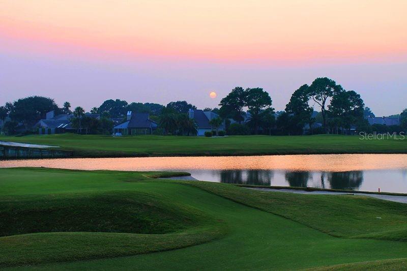 ARLINGTON RIDGE - Residential