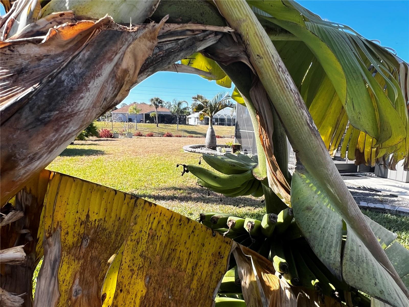 ROTONDA WEST BROADMOOR - Residential