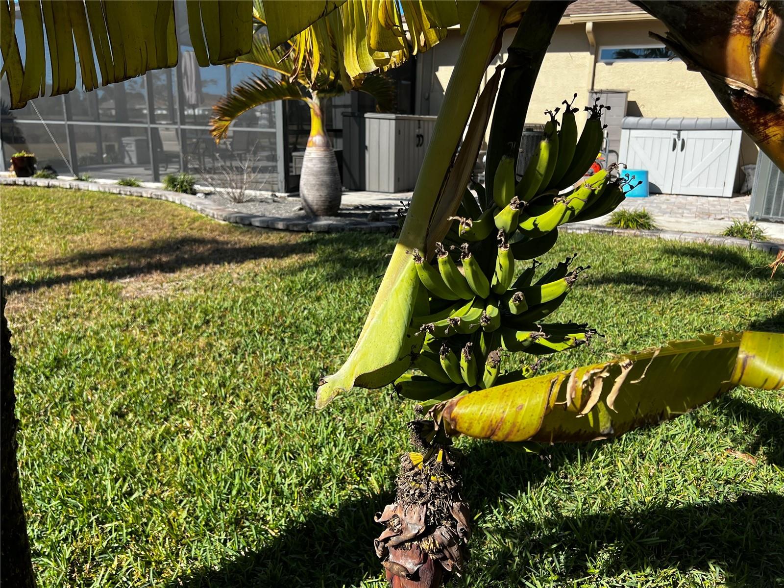 ROTONDA WEST BROADMOOR - Residential