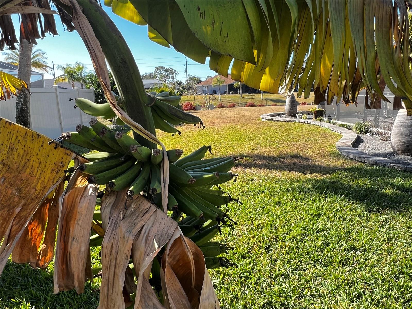 ROTONDA WEST BROADMOOR - Residential