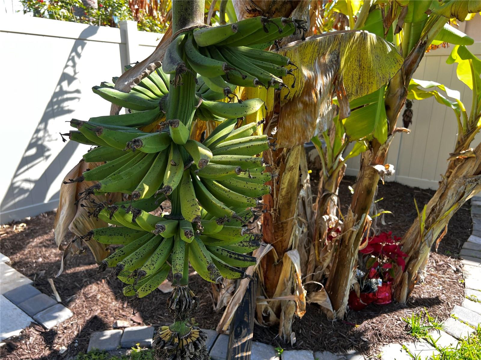 ROTONDA WEST BROADMOOR - Residential