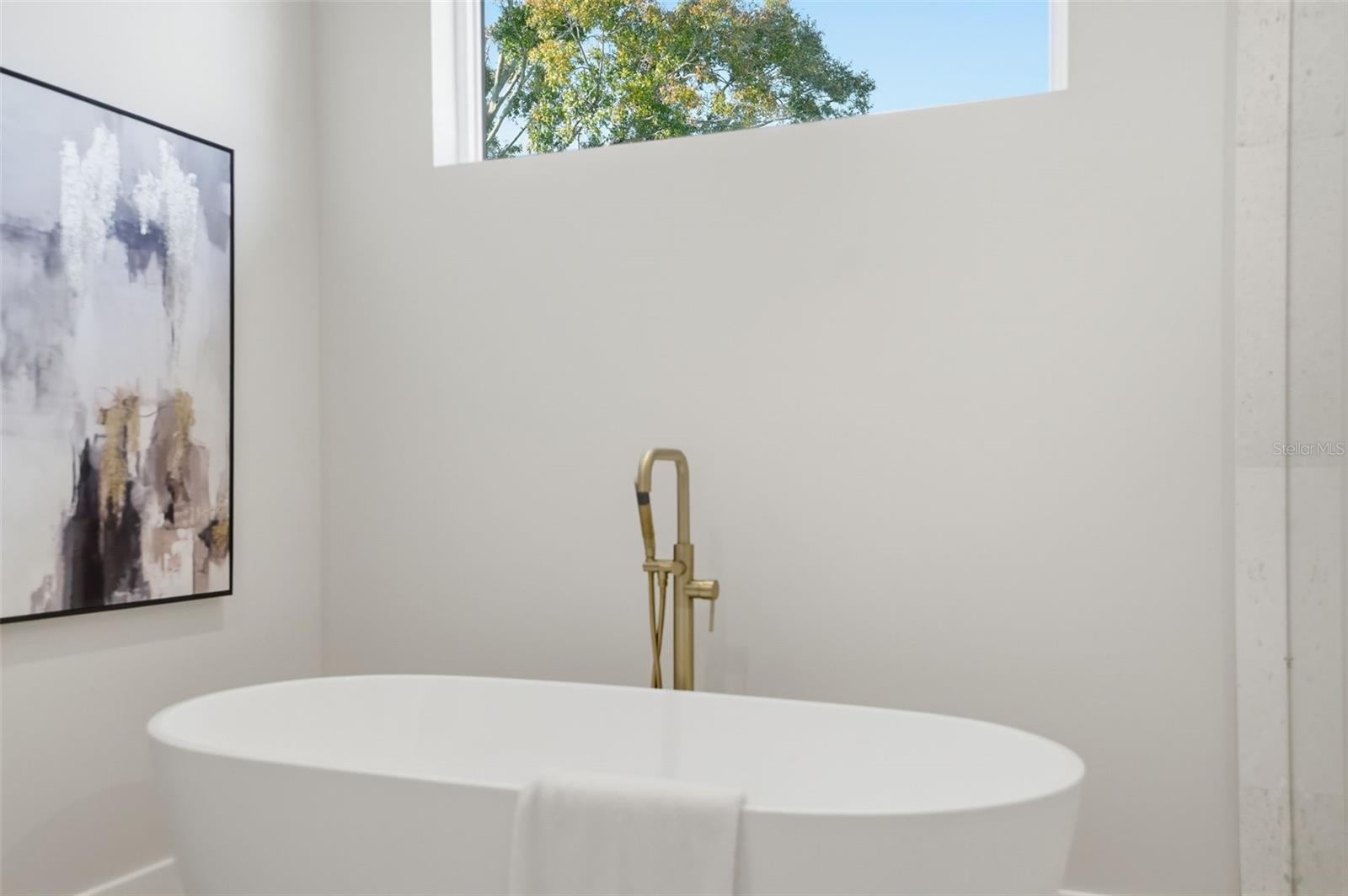 MINNEOLA - Residential