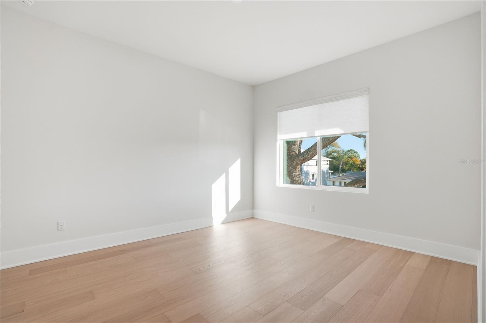 MINNEOLA - Residential