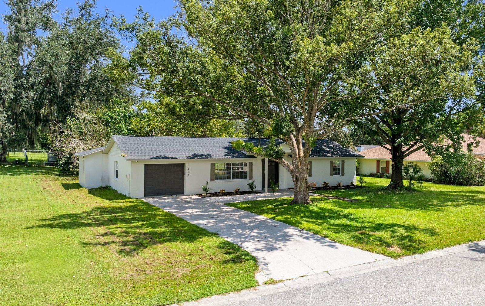 11836 ORANGE STREET
