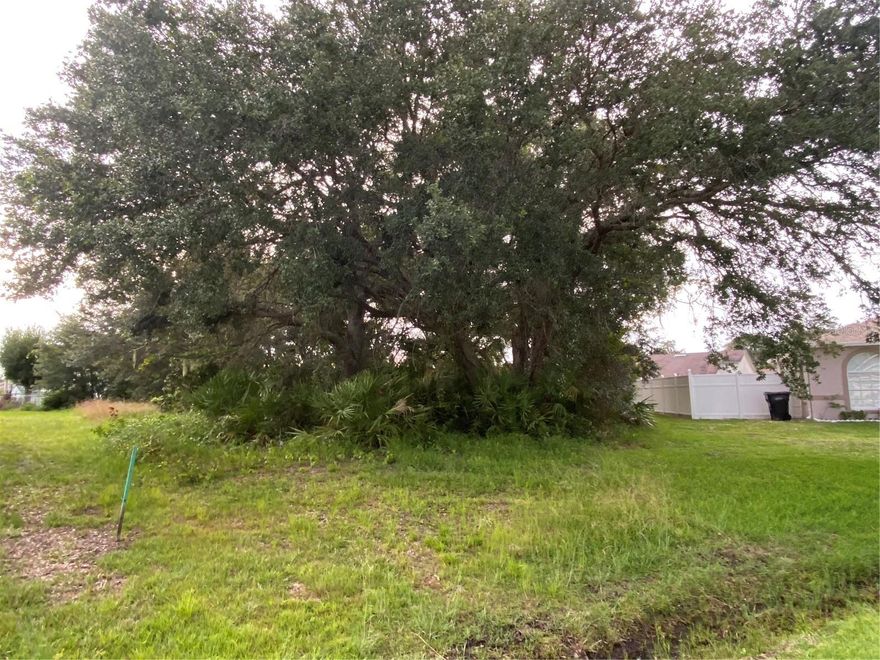 Build your dream home on this beautiful large lot in the well established community of Poinciana. This .42 acre lot is the last vacant lot on this cul-de-sac. Close and easy access to shopping, hospital, recreation areas, dog park and highways makes this a desirable location. Get ready to turn your dream home into a reality!