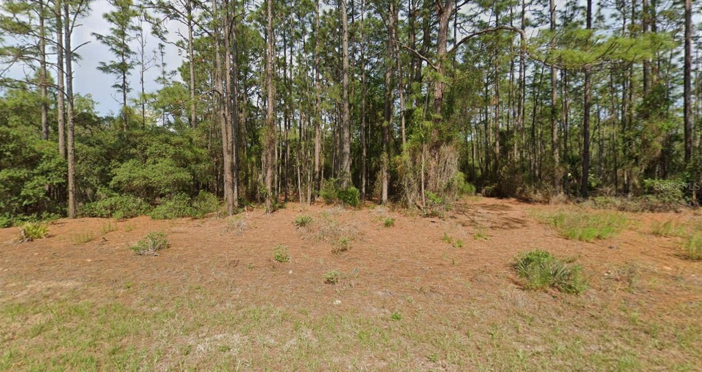 CITRUS SPGS UNIT 21 - Land