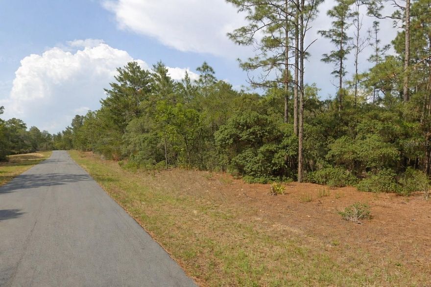 Discover a fantastic 0.23 acre buildable lot in the heart of Citrus Springs, FL. This property is a perfect opportunity for builders or future homeowners ready to design and build their dream home. 

The parcel offers ample space for a custom residence, outdoor living areas, landscaping, and more. Located with convenient access to major roads and nearby amenities, this lot provides the ideal balance of peaceful living and accessibility. With flat terrain and plenty of potential, it is ready for development. Whether you are a builder looking for your next project or a buyer searching for the right place to build a new home, this 0.23 acre lot presents a great opportunity with strong potential!