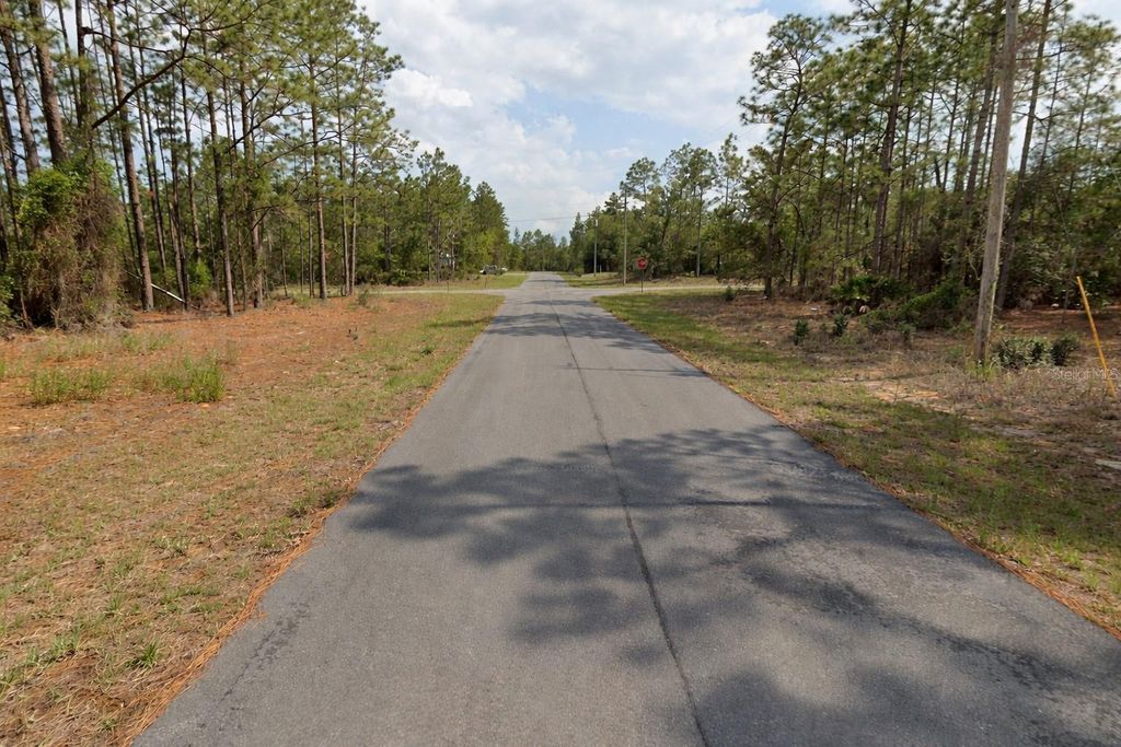 Photo of 11033 N Trigger Terrace, Citrus Springs, FL 34433 (MLS # A4683315)