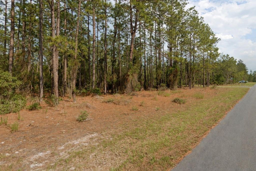 Photo of 11033 N Trigger Terrace, Citrus Springs, FL 34433 (MLS # A4683315)