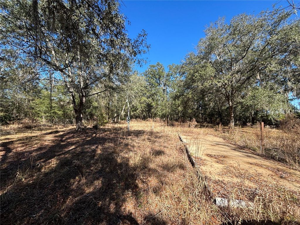 Photo of 1077 NW Hamp Farmer Road, Lake City, FL 32055 (MLS # O6394145)