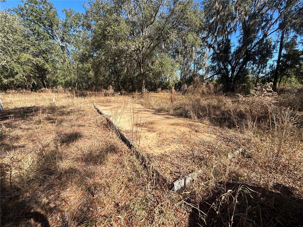 Photo of 1077 NW Hamp Farmer Road, Lake City, FL 32055 (MLS # O6394145)