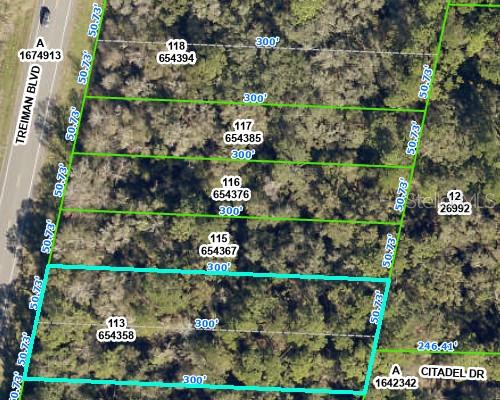 Oversized wooded 2/3 of an acre lot (double lot) in Webster right on Hwy 301/ Treiman Blvd. This country setting is a great site for a single family home or a perfect investment opportunity for this fast growing area. No mobile or manufactured homes are permitted per Hernando County. Well and septic is permitted for the property. Convenient location close to major highways. Only 60 minutes to Orlando and 40 minutes to Tampa and the airport. Additional property right next door also available and seller prefers to sell them together. This would be almost an acre. This property includes Lots 13 and 14. Tie additional lot is 15. Together they are .90 acres. So many possibilities with this property. Contact us today to learn more or schedule a viewing!