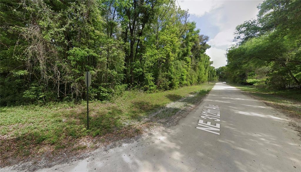 Photo of NE 312th Avenue, Old Town, FL 32680 (MLS # O6365158)