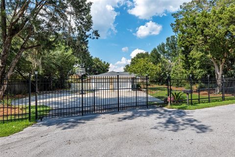 Tiny photo for 10625 SE 151st Street, Summerfield, FL 34491 (MLS # O6378270)