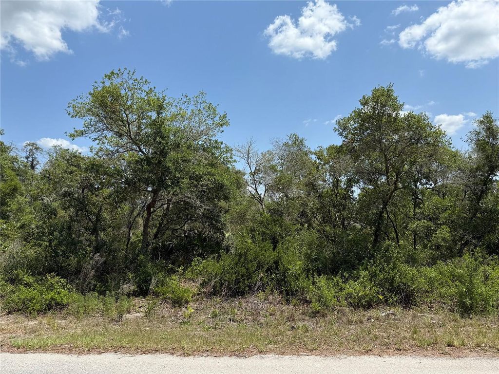 Photo of Tbd Fisher Loop #36, Ocklawaha, FL 32179 (MLS # OM701240)