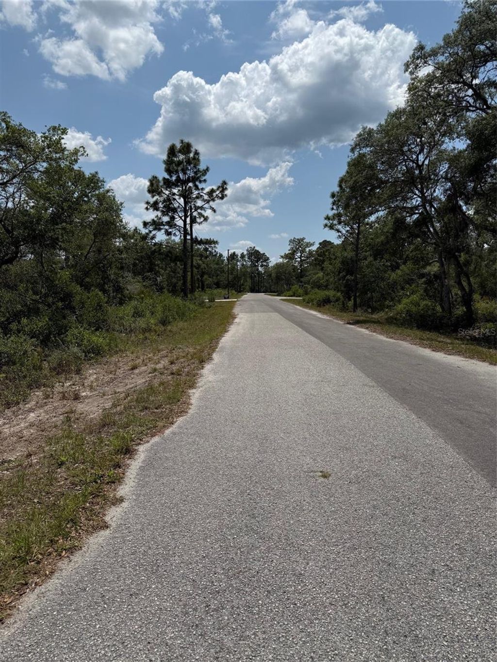 Photo of Tbd Fisher Loop #36, Ocklawaha, FL 32179 (MLS # OM701240)