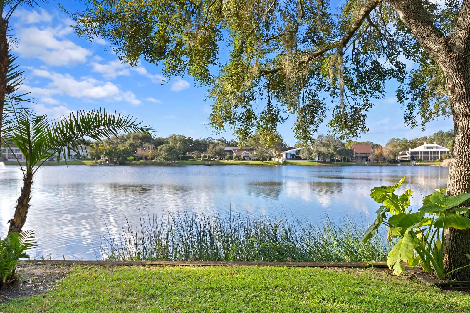 AVILA UNIT 13C - Residential