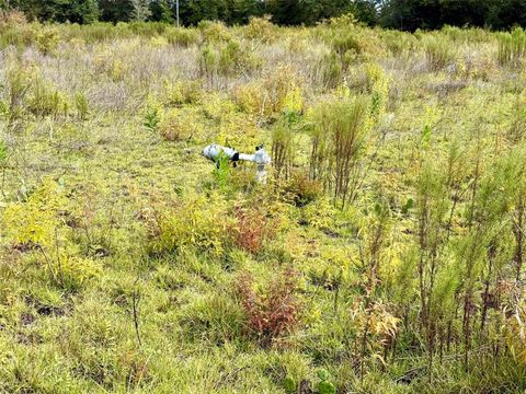 Tiny photo for 14385 SW Highway 484, Dunnellon, FL 34432 (MLS # W7879622)