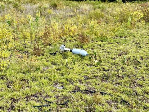 Tiny photo for 14385 SW Highway 484, Dunnellon, FL 34432 (MLS # W7879622)