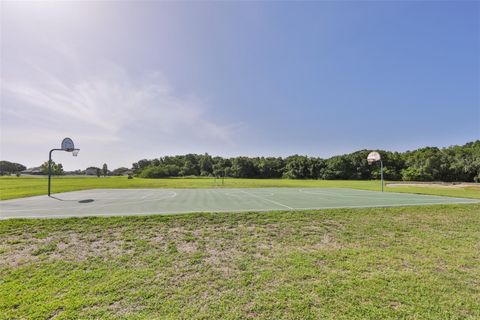 A home in PARRISH