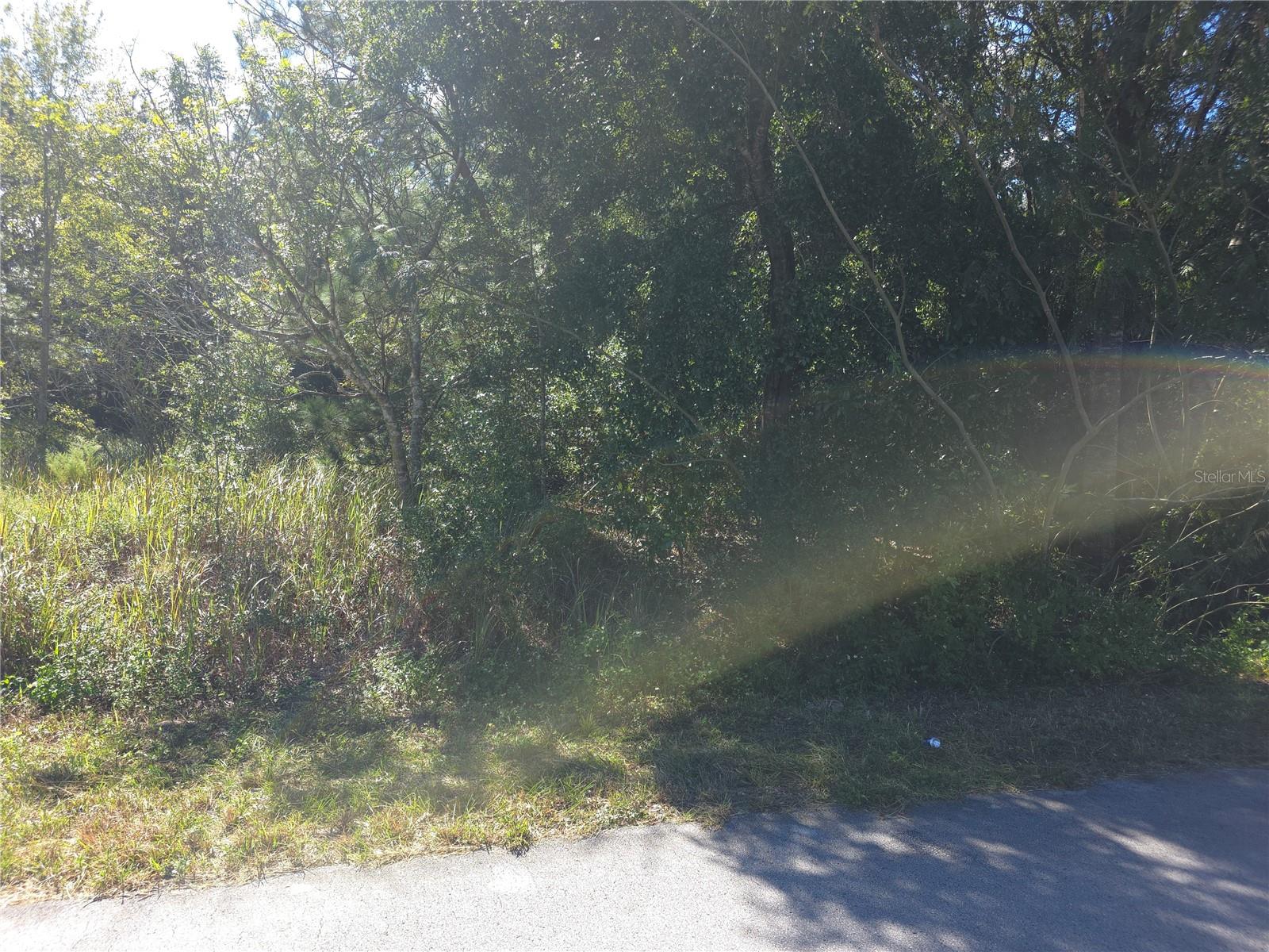 Undeveloped lot ideally located minutes from Ocala and Belleview, Florida, being sold as part of a package of THREE parcels including the adjacent lots, 66 Juniper Pass and 68 Juniper Pass, totaling a combined 1.4 acres, PERFECT for an aspiring investor OR homebuilder looking to place a Site-built Single-Family Home, OR a Multifamily building! The combined lots could easily accommodate a duplex, Triplex, or quadruplex! There is also an option to bundle this purchase with a 2-lot package on the same street if you're considering multiple units, like an additional duplex!