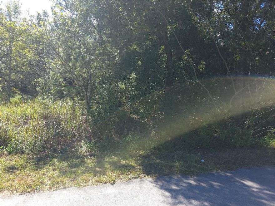 Undeveloped lot ideally located minutes from Ocala and Belleview, Florida, being sold as part of a package of THREE parcels including the adjacent lots, 66 Juniper Pass and 68 Juniper Pass, totaling a combined 1.4 acres, PERFECT for an aspiring investor OR homebuilder looking to place a Site-built Single-Family Home, OR a Multifamily building! The combined lots could easily accommodate a duplex, Triplex, or quadruplex! There is also an option to bundle this purchase with a 2-lot package on the same street if you're considering multiple units, like an additional duplex!