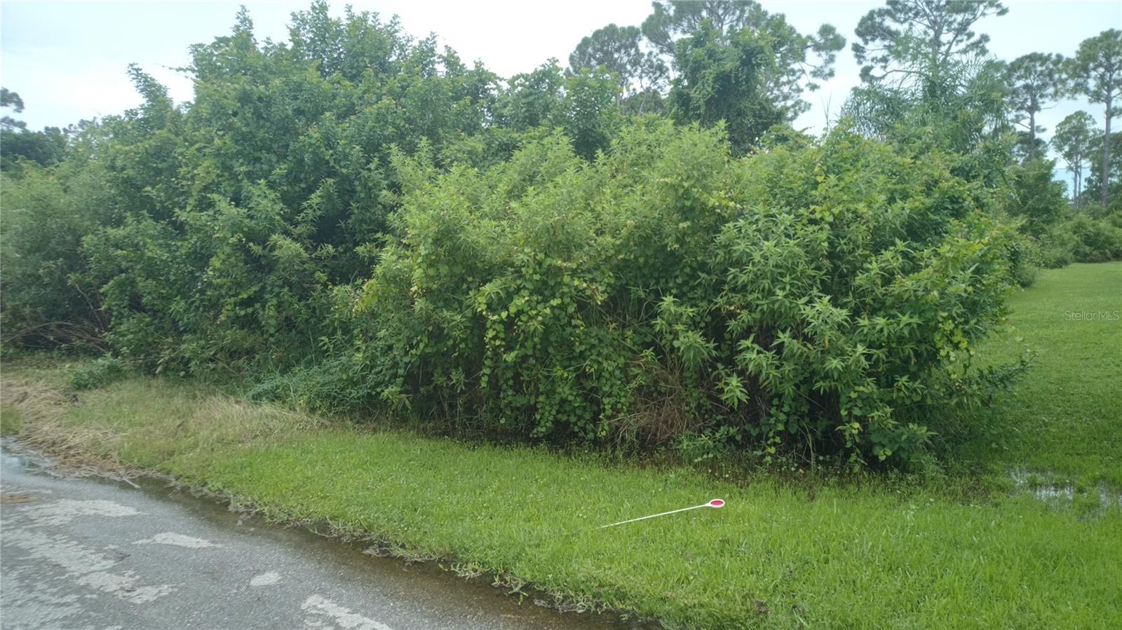 SYLVANIA AVENUE