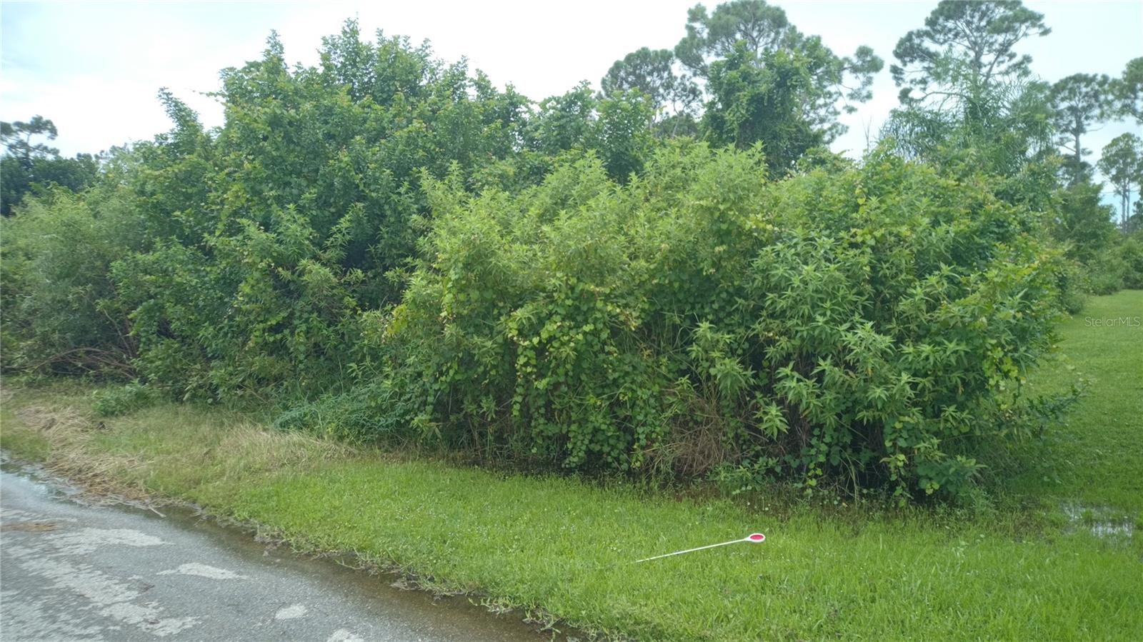 SYLVANIA AVENUE