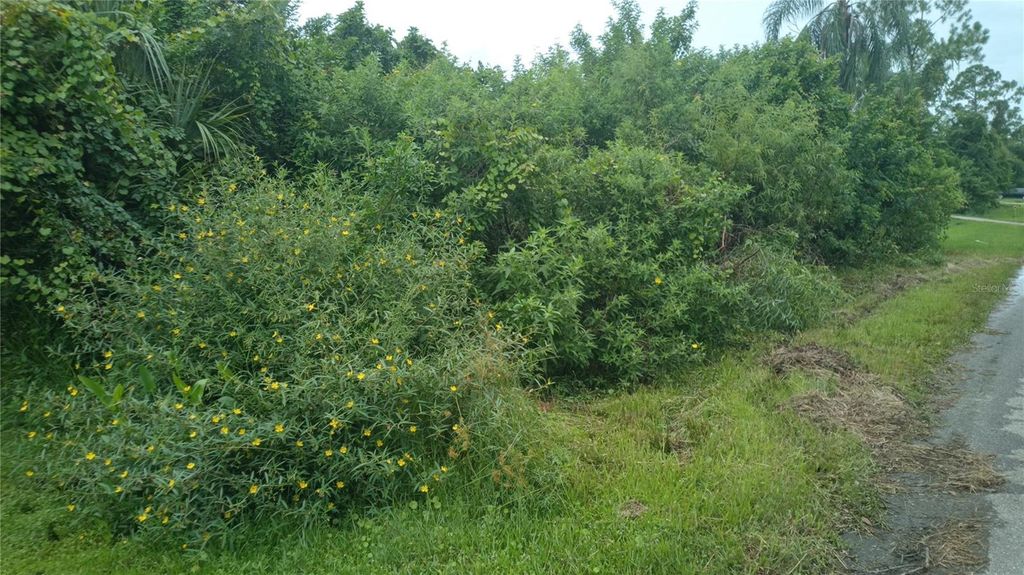 Photo of Sylvania Avenue, North Port, FL 34291 (MLS # A4663447)