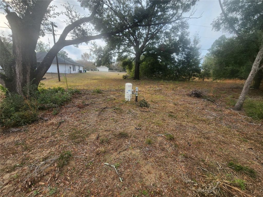 Photo of 715 Long Avenue, Inverness, FL 34453 (MLS # OM693353)