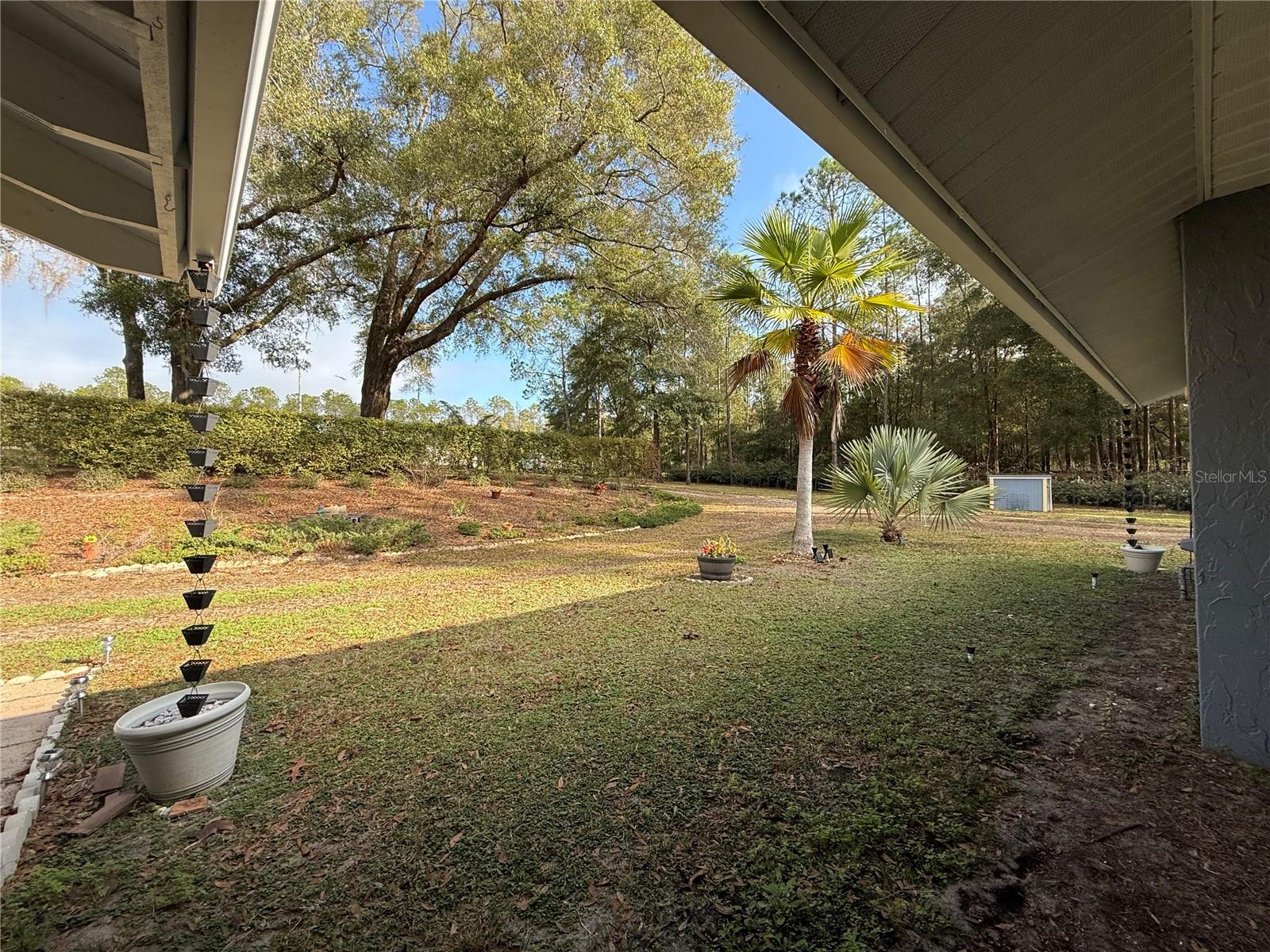 RAINBOW SPGS 01 REP - Residential