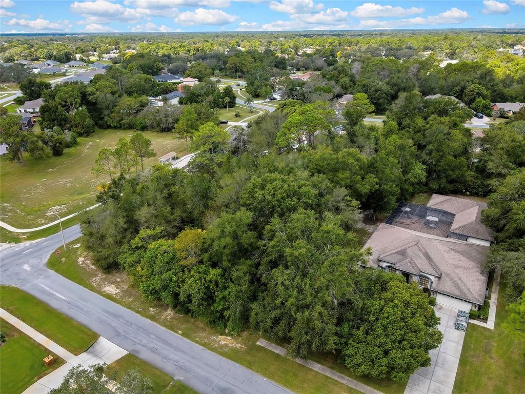 Photo of 351 Oriana Drive, Spring Hill, FL 34609 (MLS # W7879267)