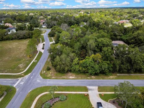 351 ORIANA DRIVE SPRING HILL FL 34609