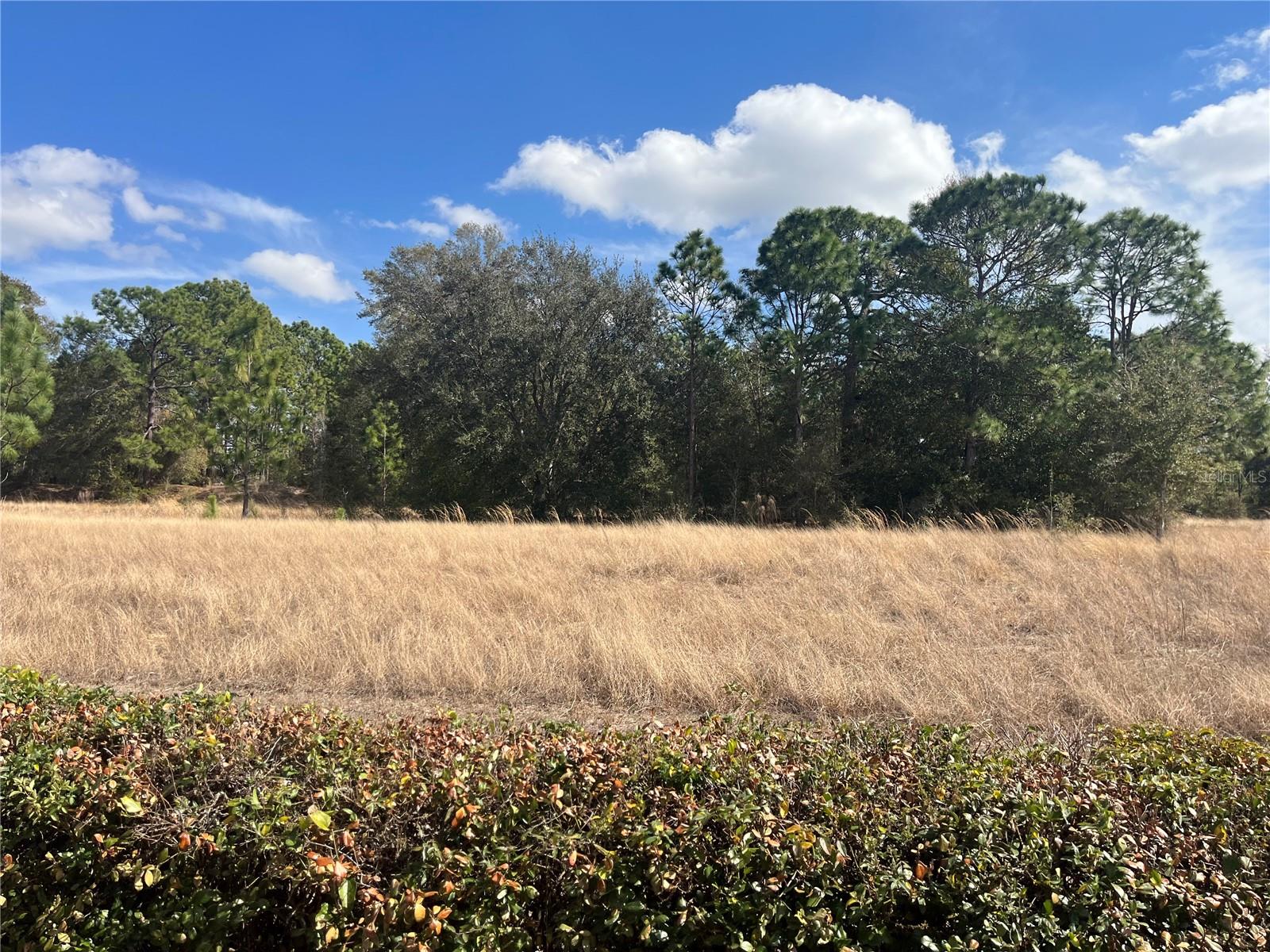 13235 SE 97TH TERRACE ROAD