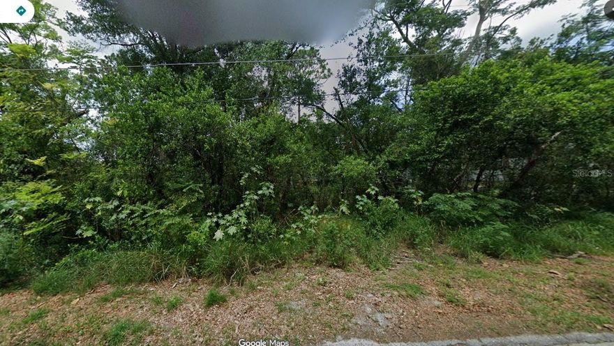 Build your dream home on this almost half-acre lot with NO HOA in the highly sought-after Plantation Estates community. This neighborhood offers those seeking a quieter, suburban feel with a strong connection to nature and easy access to both Orlando's attractions and Florida's beaches, offering a blend of outdoor recreation, a strong sense of community, and a lower cost of living than many Florida areas. It's noted for its parks, the St. Johns River, friendly atmosphere, above-average public schools, and a good mix of home types.