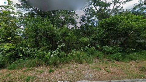 122 HOMESTEAD AVENUE DEBARY FL 32713