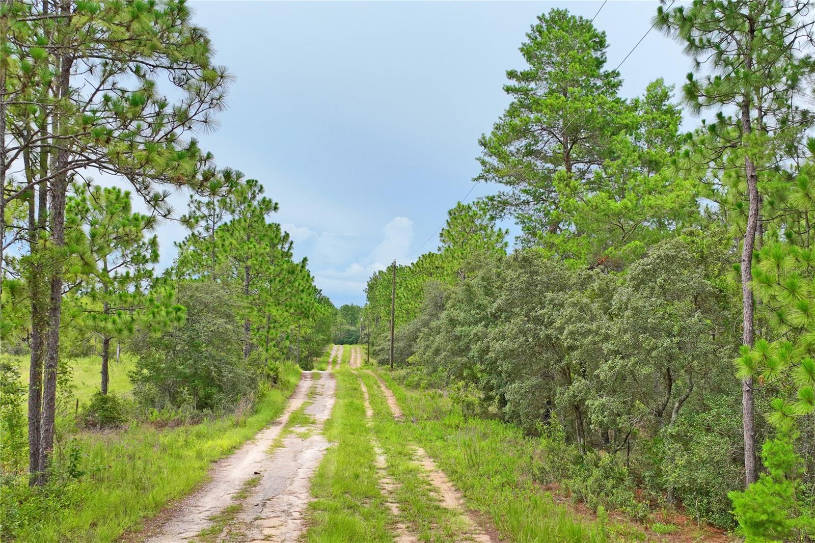 9423 N TAMI PATH