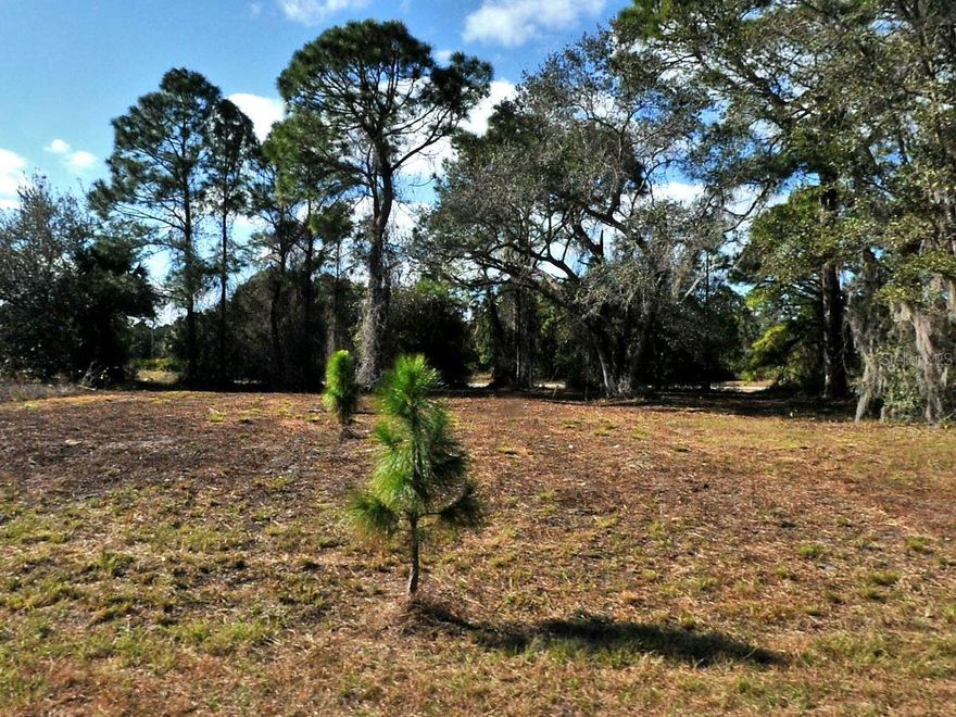 Great buildable lot in fast growing area.  No HOA or CDD fees